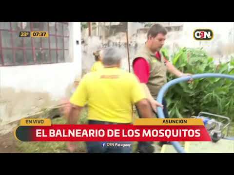 Microcentro de Asunción: Casas abandonadas, potencial criaderos de mosquito