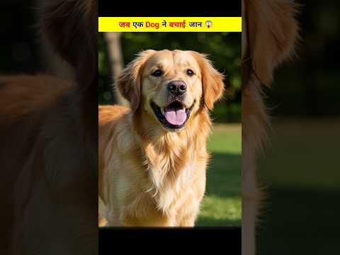 जब एक Dog ने बचाई जान 😱 | Brave Dog Saved a Baby from Eagle Attack |#dog #baby #dogvideos #shorts