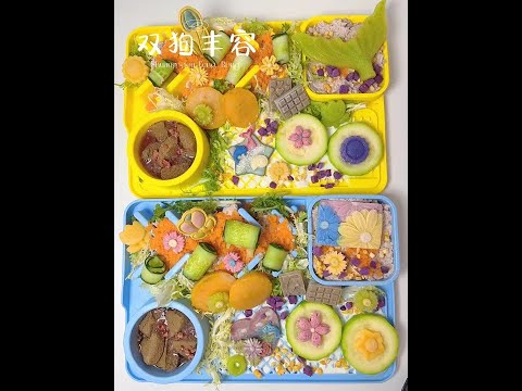 不敢想象 这一盘要是炫我嘴里#狗吃的比我好系列 #干饭狗的日常 #狗狗吃饭 #萌宠进食记 #自制狗饭