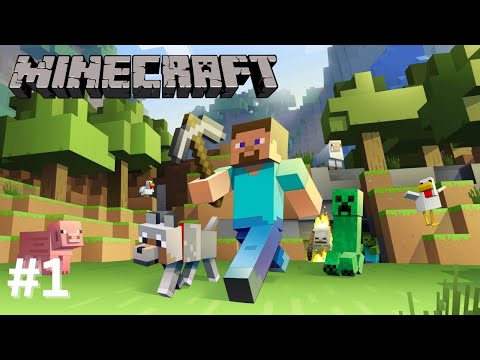 Starting a New Minecraft Survival Series