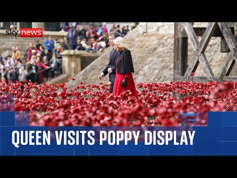 Queen praises 'beautiful' poppy display at Tower of London