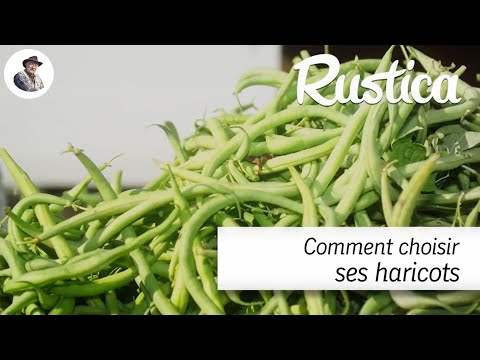 Comment choisir les haricots