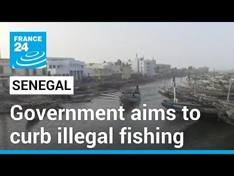 Senegal : government aims to curb illegal fishing • FRANCE 24 English
