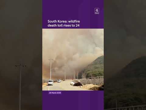 South Korea: wildfire death toll rises to 24