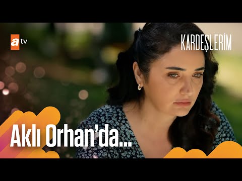 Piknikte beklenmeyen tartışma! - Kardeşlerim Arşiv Sahneler🎬