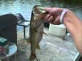 DryPondFishing