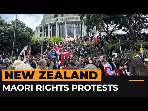 Thousands protest as Maori rights march reaches New Zealand parliament | Al Jazeera Newsfeed