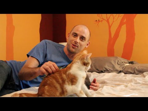 Kittens!