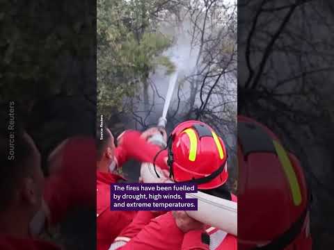 Deadly wildfires spread across southern Europe