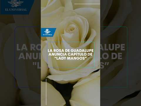 La Rosa de Guadalupe se inspira en LCDLF