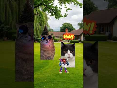 Pov : Wow 😱 #meme #cat #kucing #animation #funny #fypシ