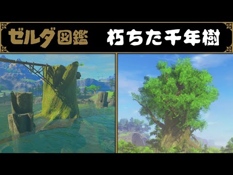 【ゼルダ図鑑】朽ちた千年樹とカラモ、騎士ゴーレム。封印戦記で明かされた謎と世界線の話