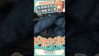 MECCHA CHAMELEON 老鼠是這遊戲的精華了吧? #gaming #hideandseek #mecchachameleon #s
