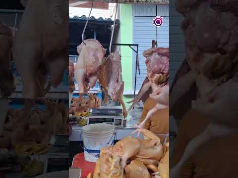 Precio del pollo disminuye en Trujillo #actualidad