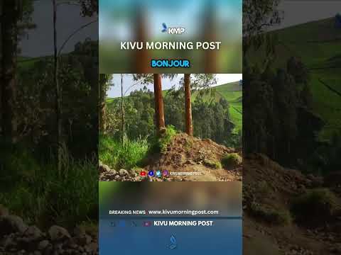 Congo: Merci pour votre soutien, l'histoire continue!