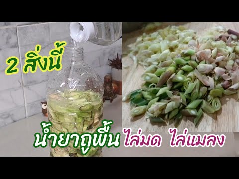 น้ำยาถูพื้นเช็ดโต๊ะไล่มดไล่