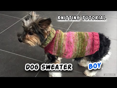 Small Dog Sweater For Boys Knitting Tutorial