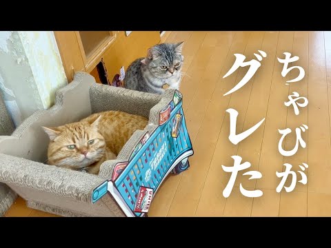 優等生のちゃびくんが珍しく荒ぶっていた、すると！