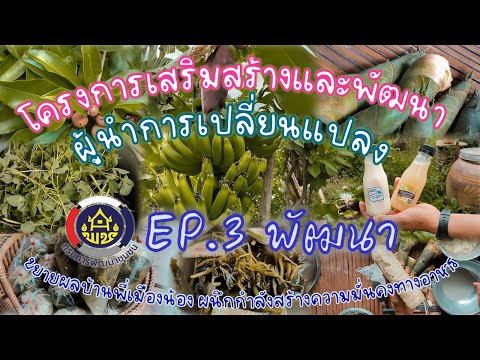 EP:3พัฒนาโครงการเสริมสร้างแล