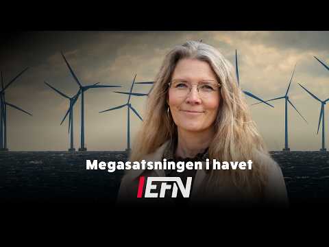 Sverige kvar på stranden när Danmark och Tyskland storsatsar på vindkraft till havs