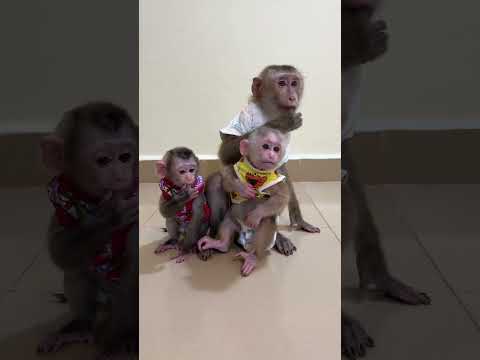 King Jacky Walk To Hug Baby Linda & cHIcHI Go In Room