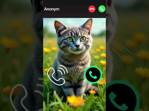 Cute Cat Calling 😀#ringtone #cat #gato #babygirl #youtubeshorts #catlovers #viralvideo #mi #shorts