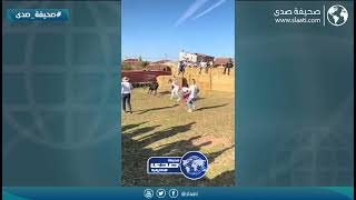 ثور يهاجم فتاة