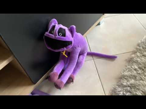 Rainbow friends and cat nap￼￼