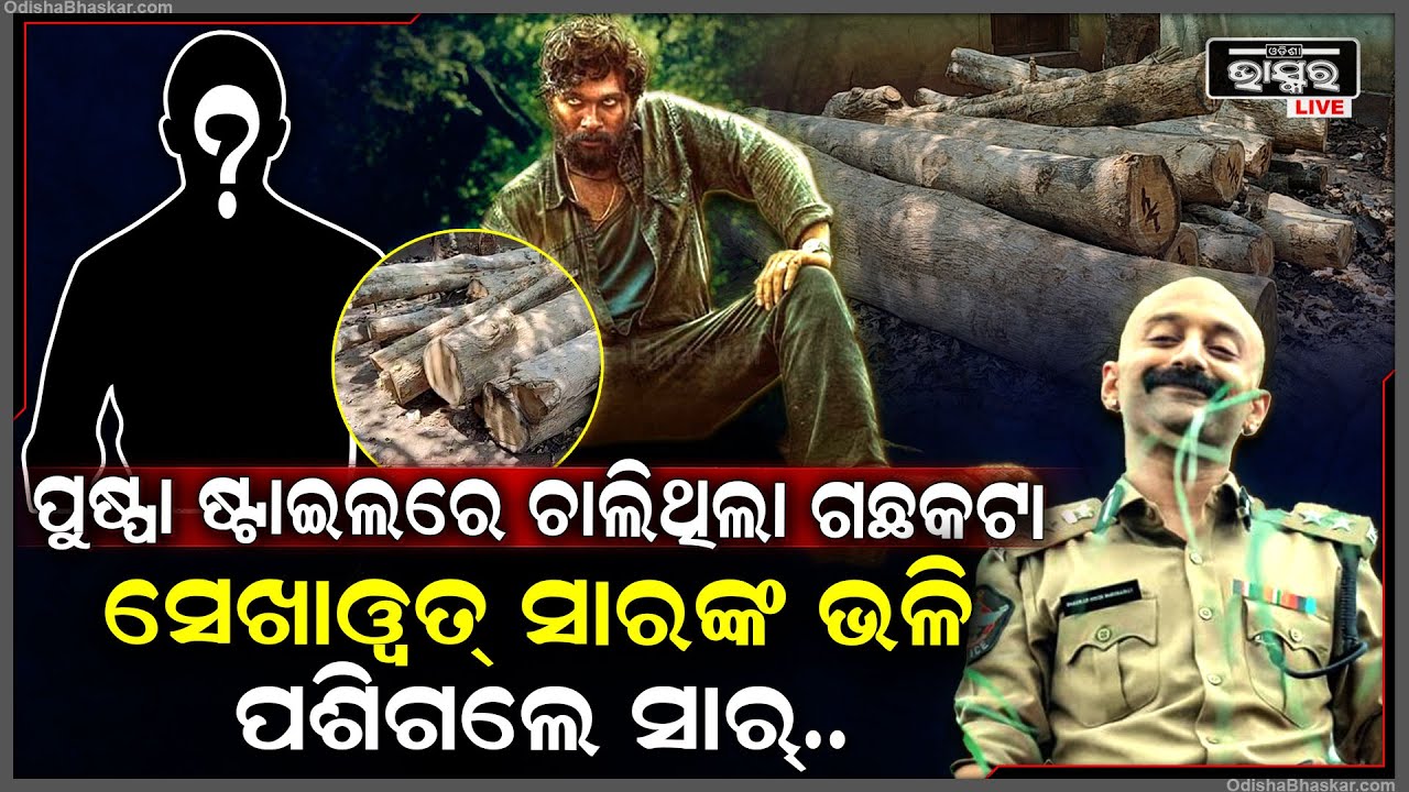 ପୁଷ୍ପା ଷ୍ଟାଇଲରେ ଚାଲିଥିଲା ଗଛ କଟା । ସେଖାୱତ୍ ସାରଙ୍କ ଭଳିଆ ଜଙ୍ଗଲ ଭିତରେ ରେଡ୍ ମାରିଲେ ଡମପଡା ବନଖଣ୍ଡ ଅଧିକାରୀ ।