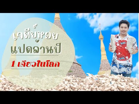 เที่ยว:สุสานหอยล้านปีและเจดีย