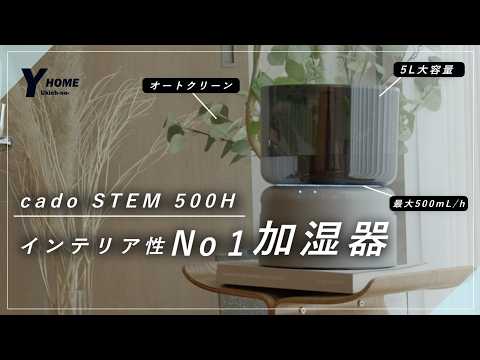 【オートクリーン加湿器】cado STEM 500Hがオシャレ&高出力