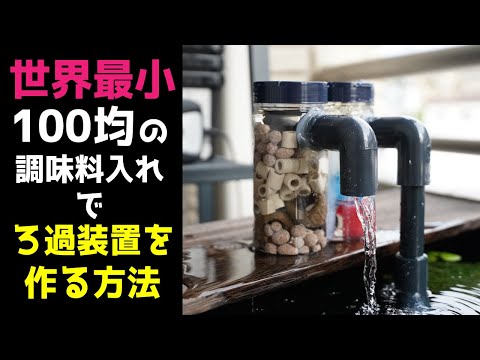 セロリマン水生生物チャンネルの最新動画 Youtubeランキング