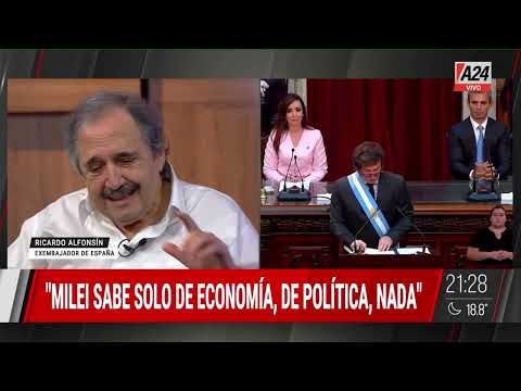 Ricardo Alfonsin: Javier Milei sabe solo de economía, de política, nada