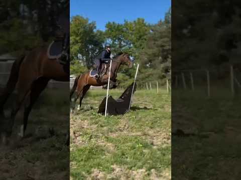 entraînement cross avec laziza !!