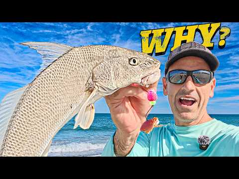 Catching BIG whiting on purpose (most people miss this) video thumbnail