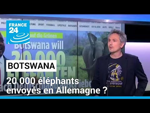 Botswana : 20 000 éléphants envoyés en Allemagne ? • FRANCE 24