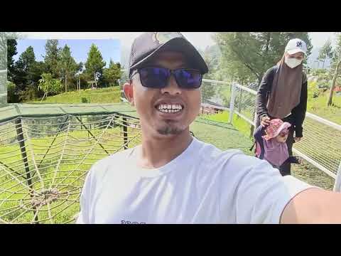 Ajak Mumtaaz Dan Mumtaazah Tadabbur Alam di Bukit Tangkeban #bukit #gunungslamet