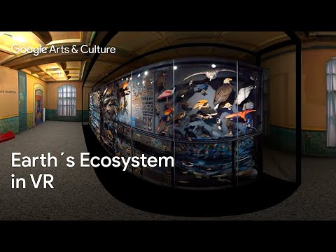 360 Videos Google Arts Culture