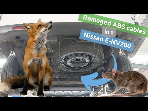 Foxes or rodents eating ABS cables on Nissan E-NV200 vans. It can be a DIY fix.