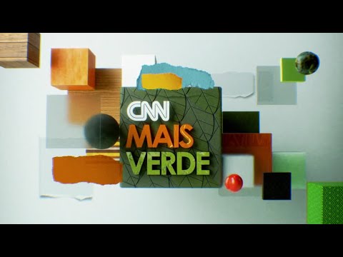 ​CNN Mais Verde: Girassol híbrido aumenta produção de óleo no Brasil | CNN NOVO DIA