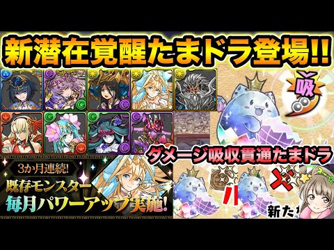 【最新情報】新潜在3種実装決定！吸収無効たまドラにルーレット対策のたまドラも！フェス限・超転生・降臨キャラの強化も来るぞ！【スー☆パズドラ】