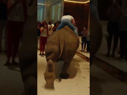 Trying to avoid traffic #ai #funny #shorts #humor #ytshorts