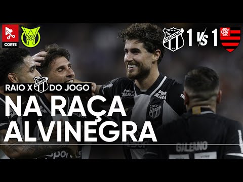 image para ilustrar o artigo