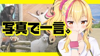 【オナ喜利】写真でボケて💛【園原あいり / Vtuber】