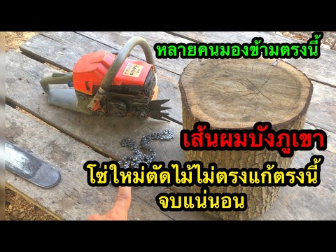 หลายคนมองข้างตรงนี้เลื่อยยนต์