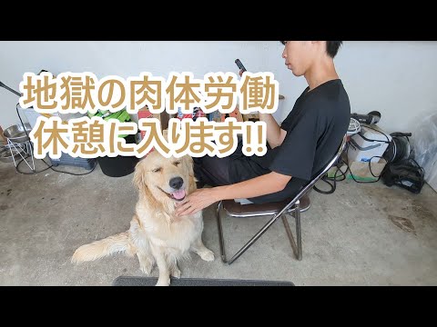 肉体労働を支えるティトとパパ：水分補給と休憩の重要性 サムネイル