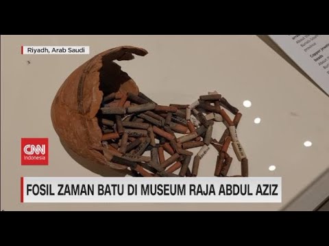 🔴Fosil Zaman Batu di Museum Raja Abdul Aziz