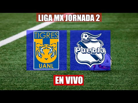 TIGRES VS PUEBLA EN VIVO  | LIGA MX JORNADA 2 TRANSMISIÓN EN DIRECTO