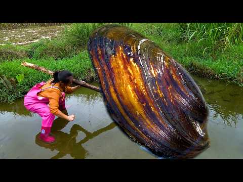 This big river clam has bloomed many beautiful pearls, and I am extremely happy