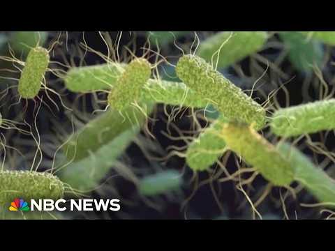 Salmonella outbreak expands to 27 states 
